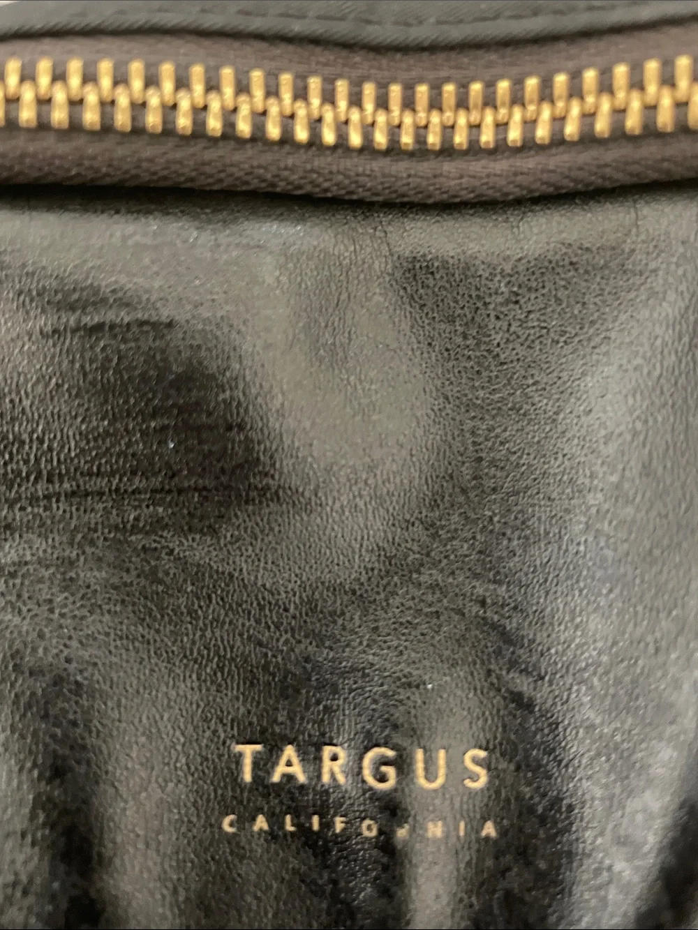 Targus Black Backpack with Gold Accents